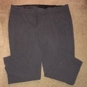 Lane Bryant pants